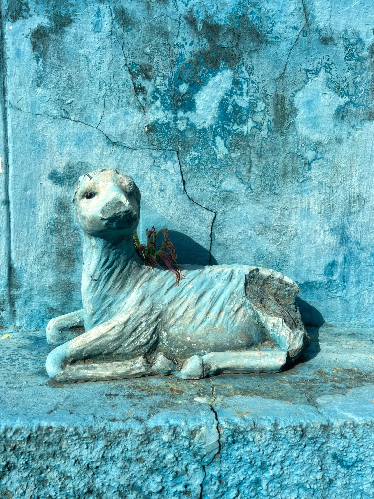 Escultura de um carneiro azul repousa sobre uma lápide da mesma cor. A peça apresenta partes quebradas e uma flor seca sobre as costas, diante de uma parede azul rachada.
