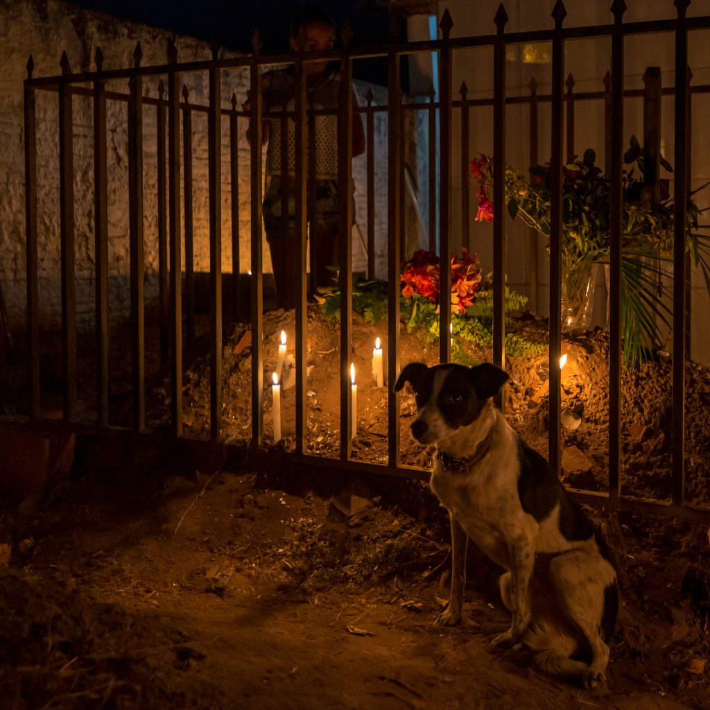 Cachorro preto e branco olha para a câmera diante de um túmulo cercado por grade. Ao fundo, uma pessoa se apoia na estrutura observando as velas ao redor.